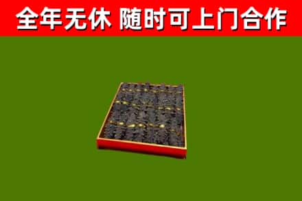 大理回收海参
